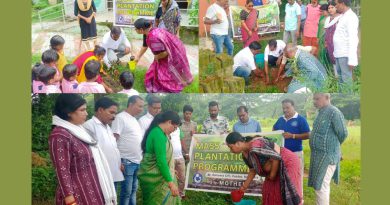 ଗାନ୍ଧୀ ଜୟନ୍ତୀ ଅବସରରେ ମଦର ତରଫରୁ ସାରା ରାଜ୍ୟରେ ଚାରା ରୋପଣ କାର୍ଯ୍ୟକ୍ରମ